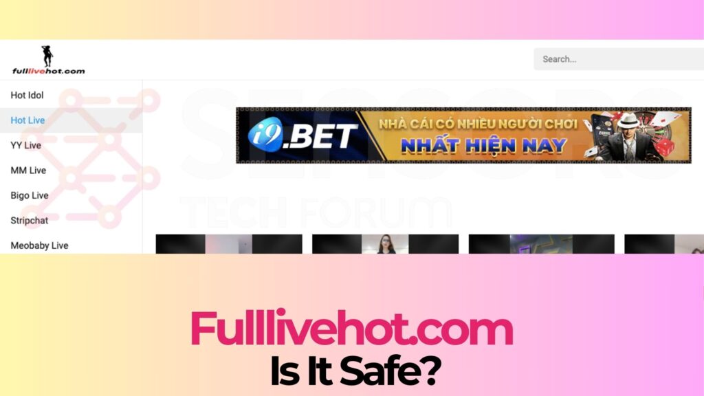 Fulllivehot.com – Is It Safe?