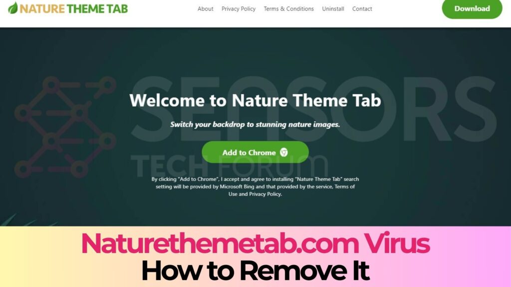 Naturethemetab.com Redirect Virus Removal