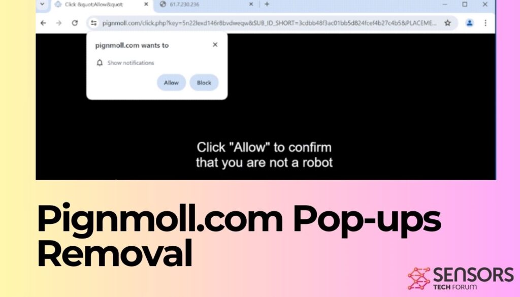 Pignmoll.com Pop-ups Removal