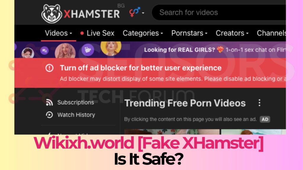 Wikixh.world - Is It Safe?