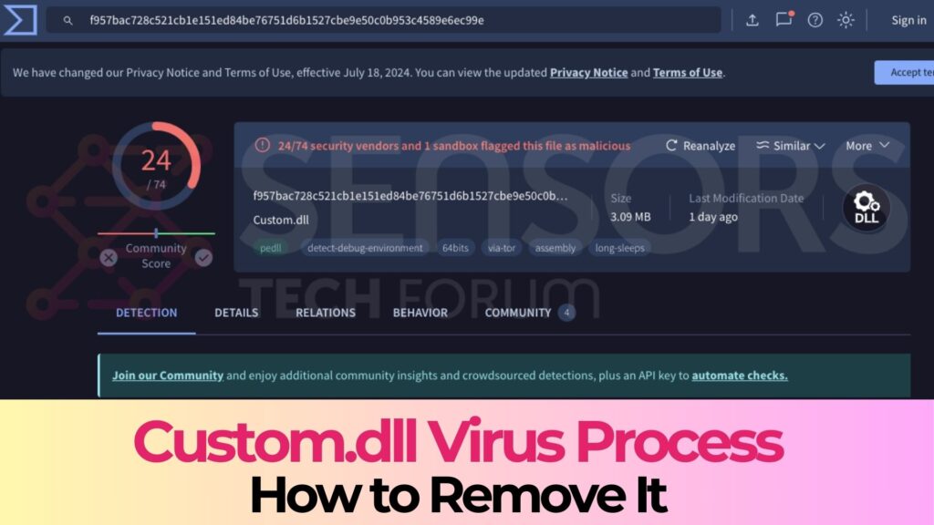 Custom.dll ウイルス プロセス - それを削除する方法