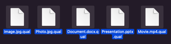 qual-file-extension