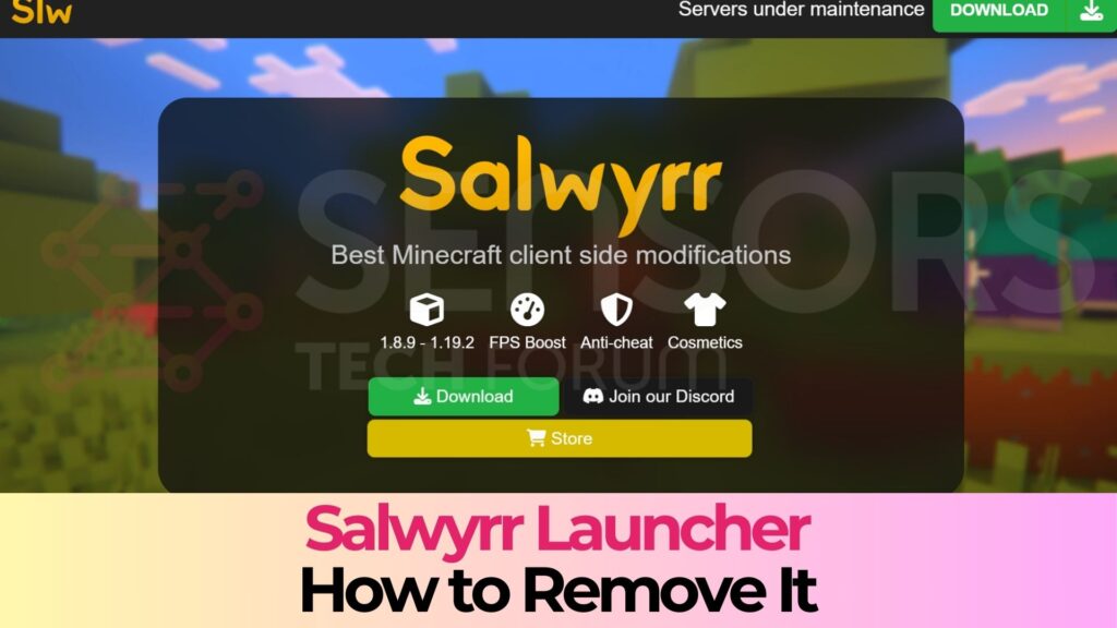 Lanceur de virus Salwyrr pour Minecraft - Guide de suppression [Réparer]