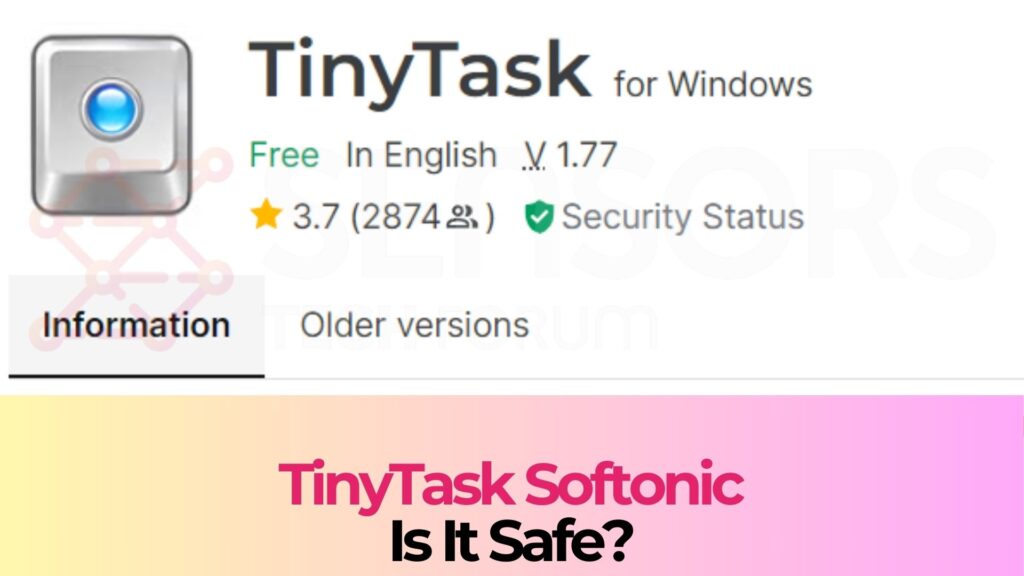 TinyTask ソフトニック - 安全ですか