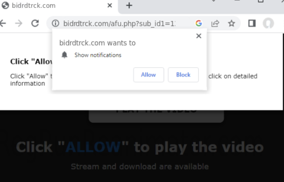 Bidrdtrck.com Ads