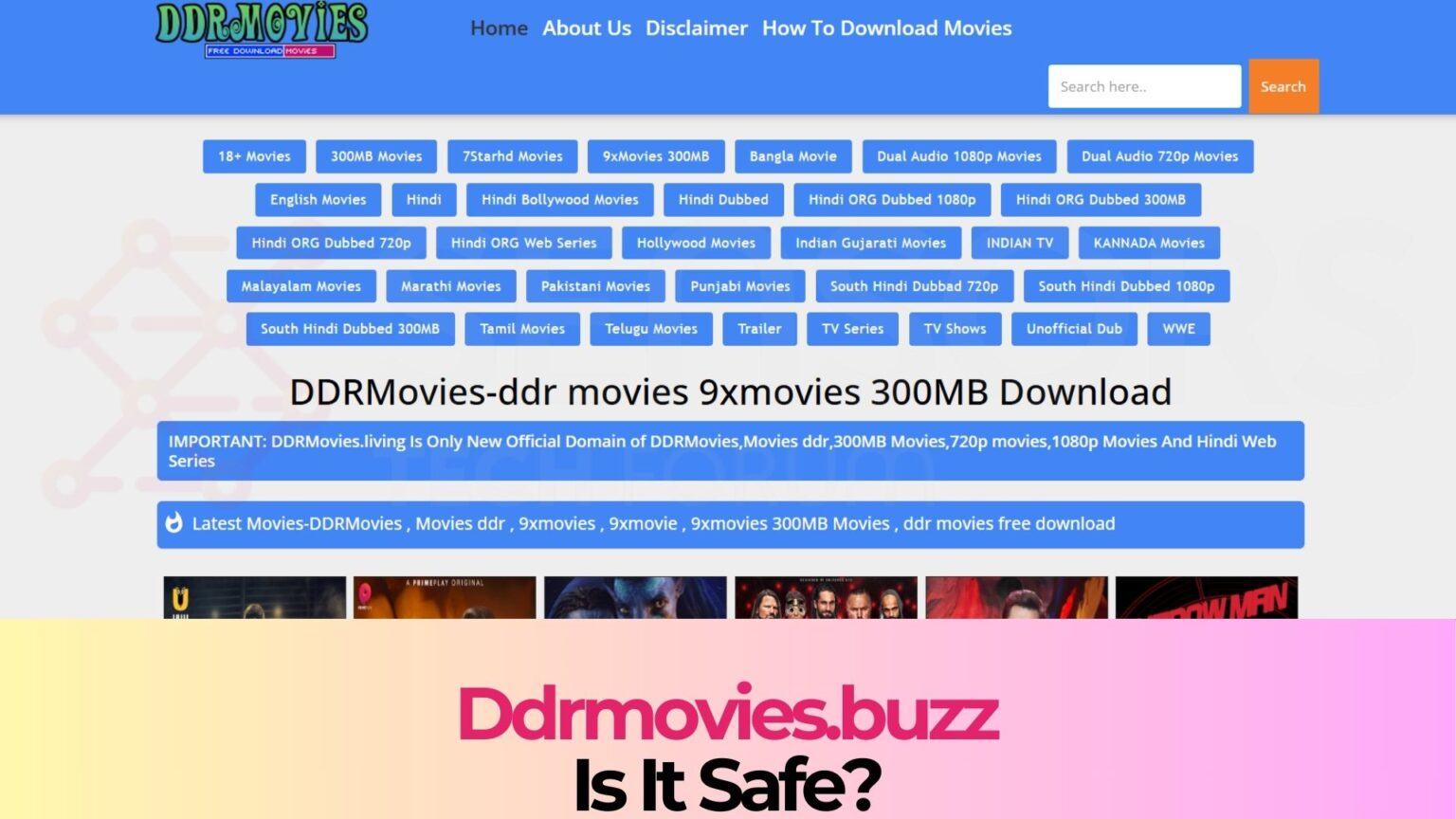 Ddrmovies.buzz Is It Safe?