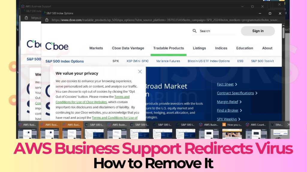 AWS Business Support Virus Redirects - Removal Guide