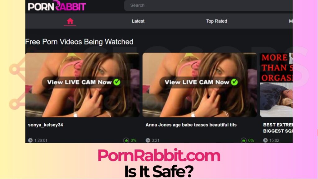 PornRabbit.com - Is It Safe? [Solved]