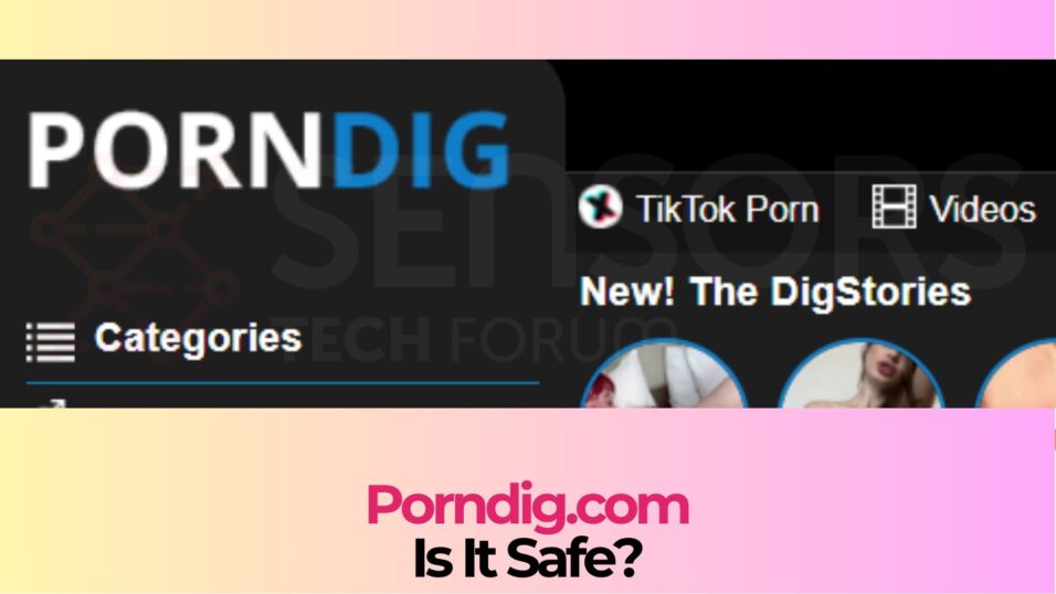Porndig - Is It Safe? [Malware Check]