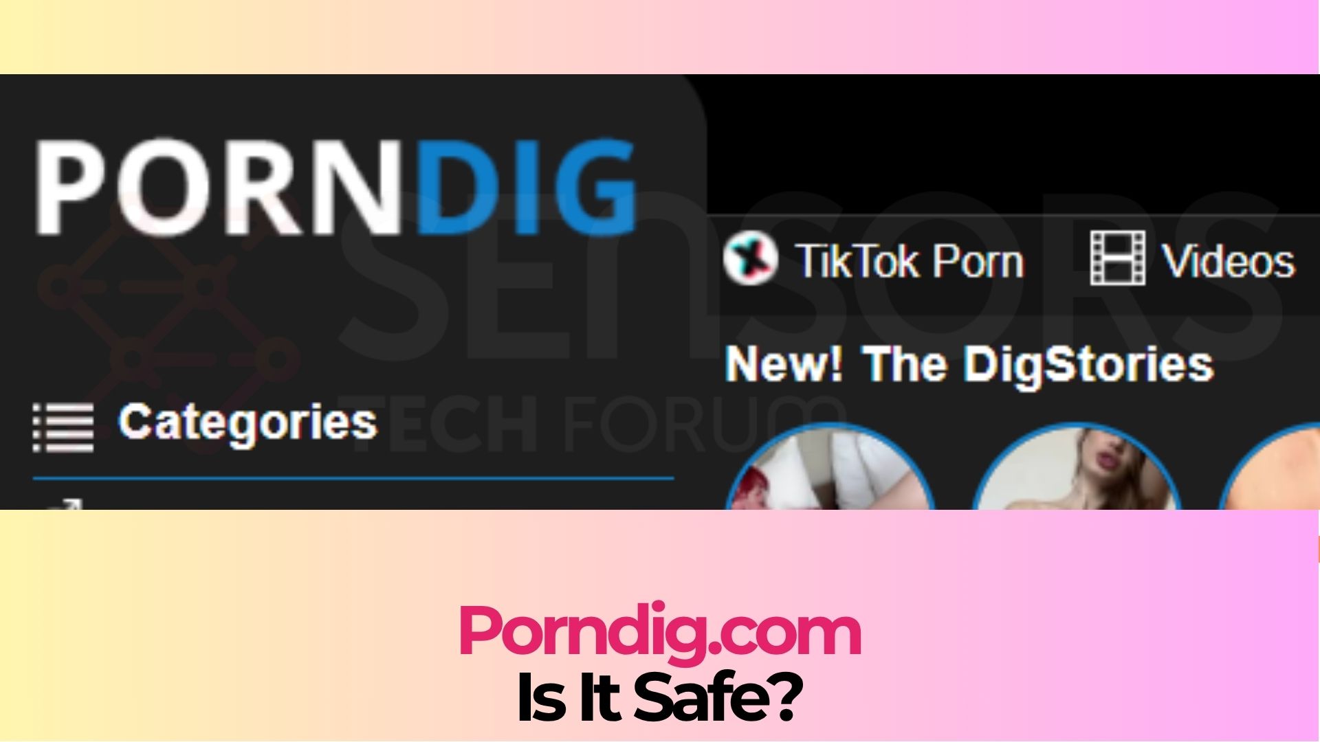 Porndig.com - Is It Safe? [Malware Check]