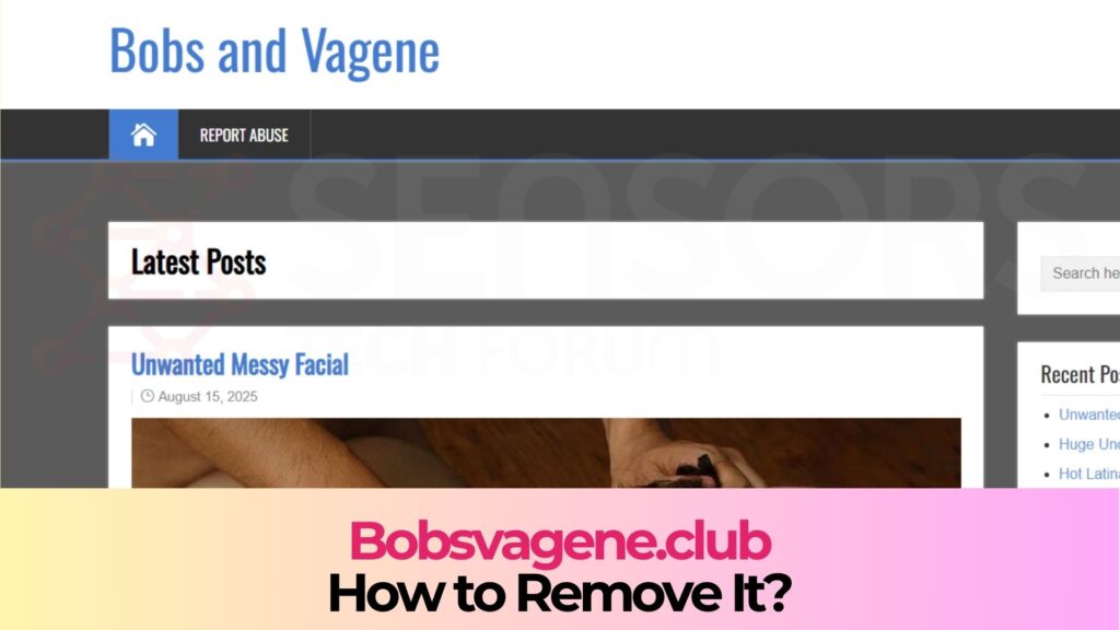 Bobsvagene.club - Is It Safe?