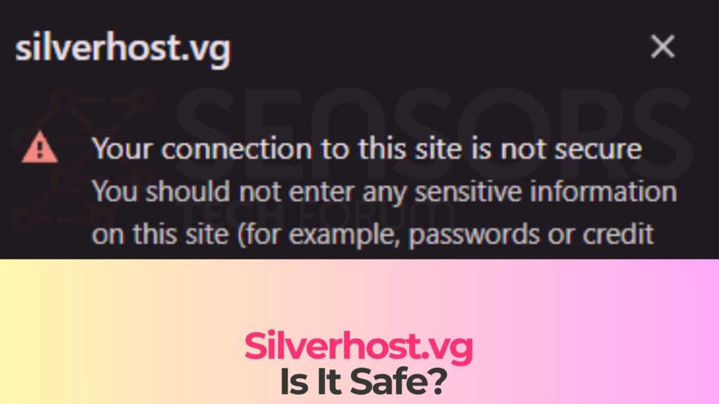 silverhost.vg - is it safe